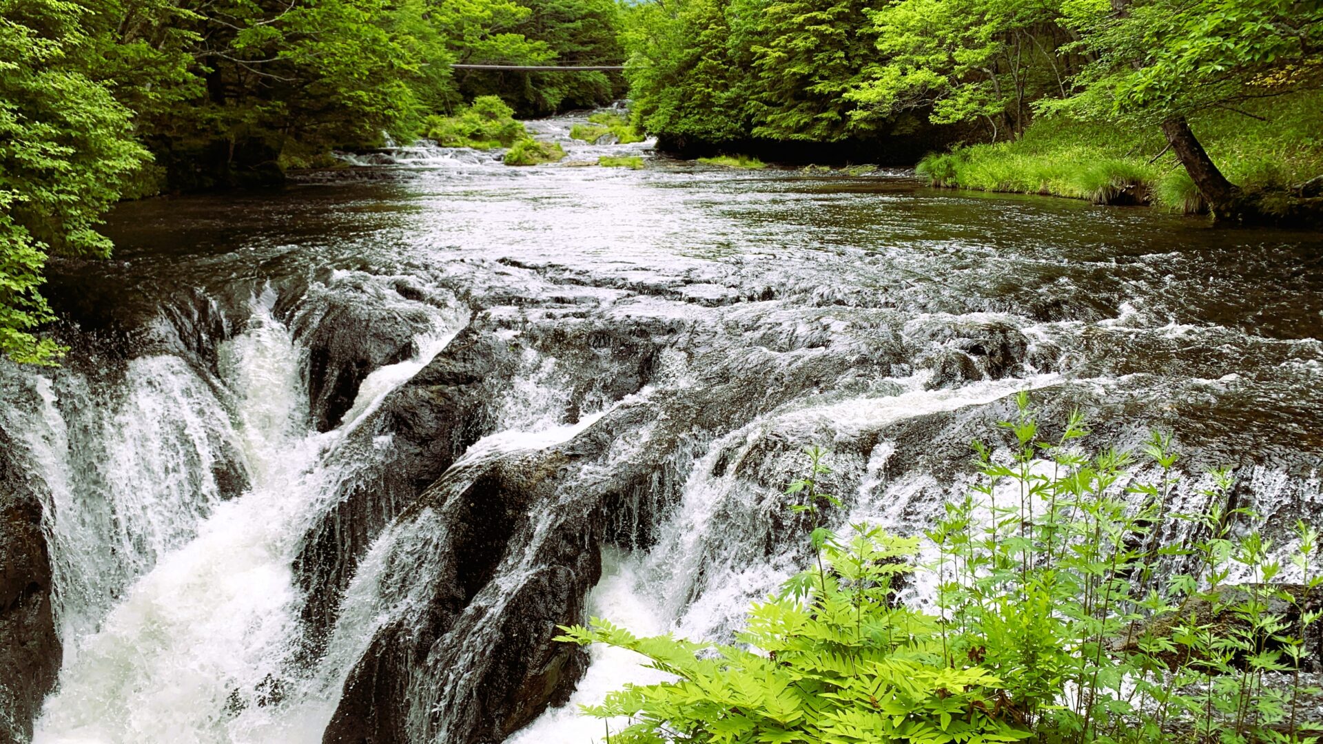 日光 中禅寺湖周辺ウォーキングガイド|自然と歴史の散策