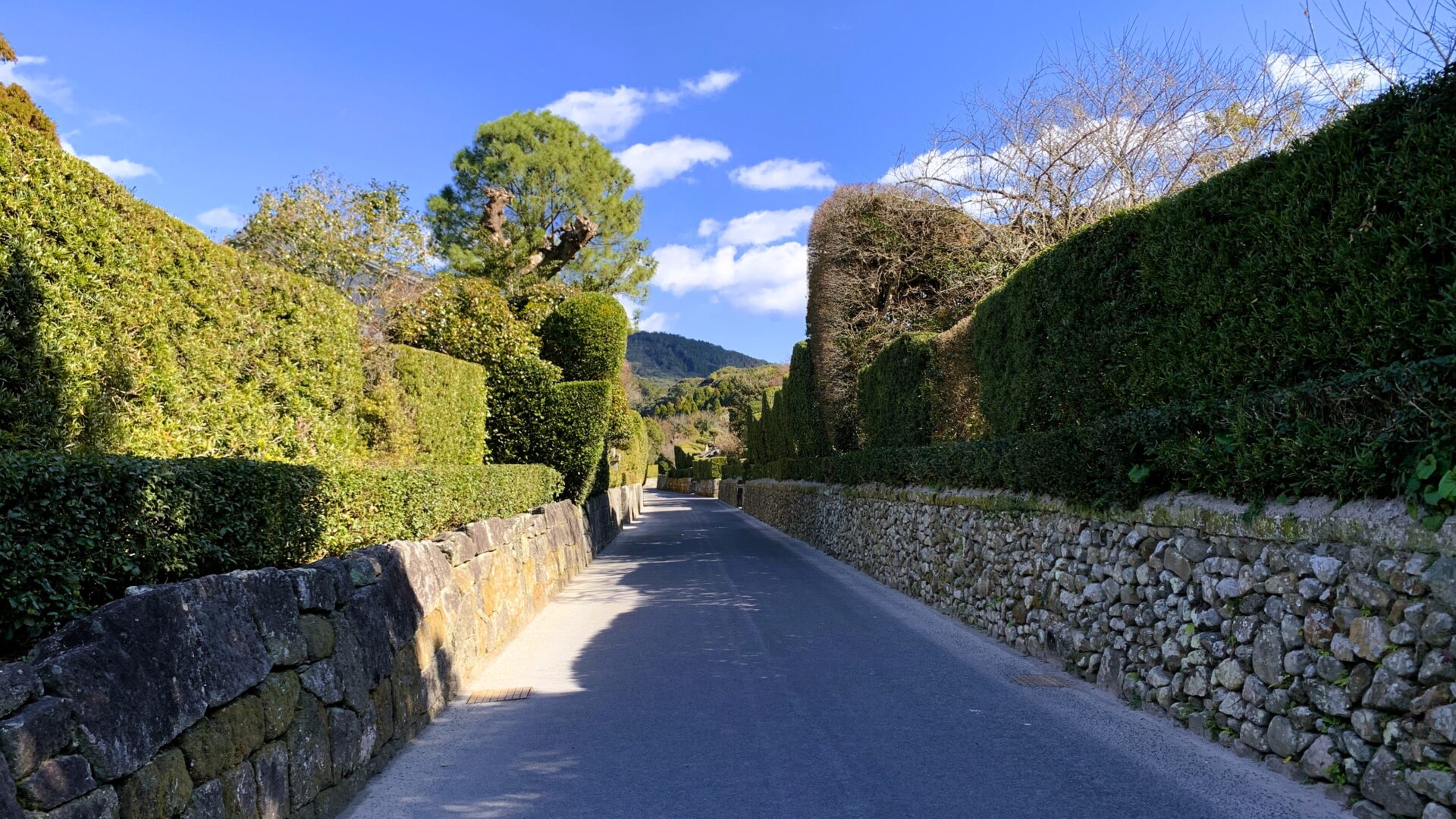 鹿児島観光ガイド|市街地、知覧、指宿などの魅力を紹介