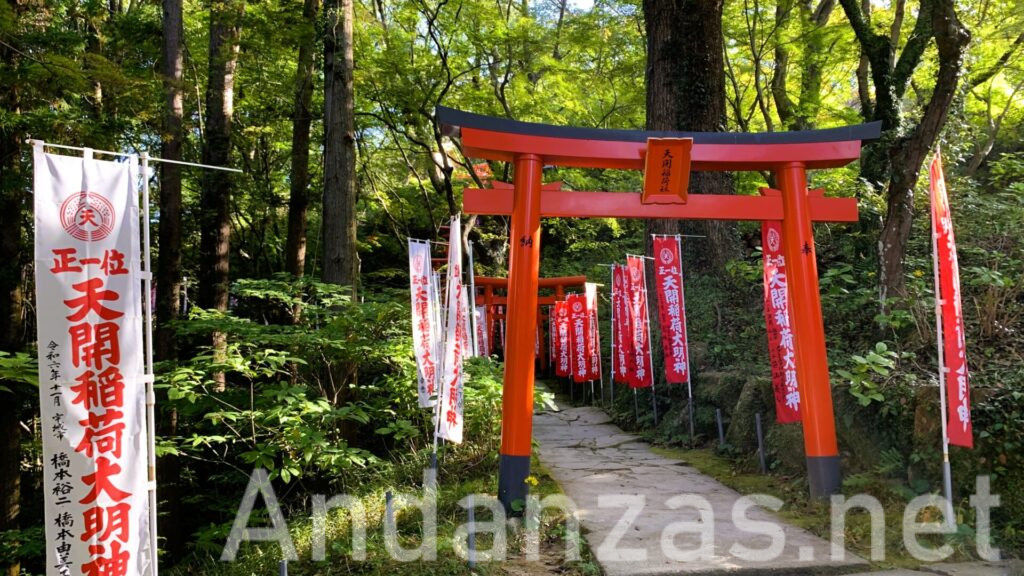 太宰府天満宮の開運神社に向かう道。小さな赤い鳥居が連なり、道の両脇には「天開稲荷大明神」と書かれた旗が立てられている。緑の山々に朝の光が差し込み、穏やかな雰囲気が漂う。