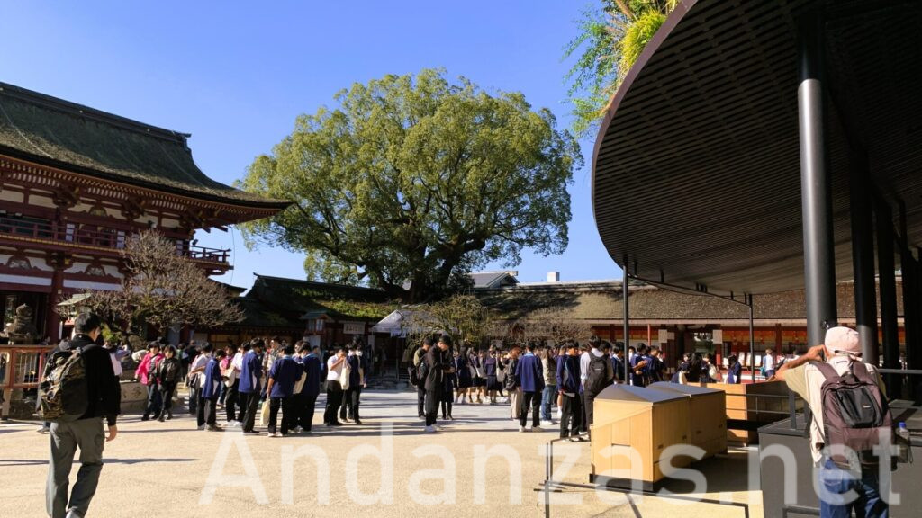 仮殿前に大勢の参拝客が集まる風景。右手に仮殿、奥には楼門が見え、快晴の空には雲一つない。