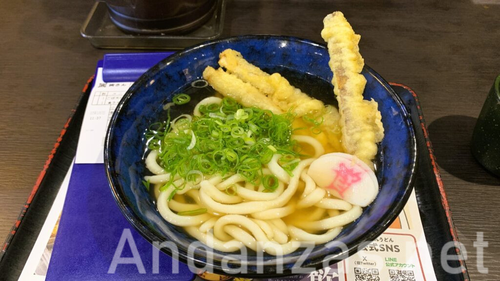 資さんうどんの「ごぼ天3本うどん」。長いごぼ天3本とたっぷりのネギ、資とピンク色で書かれたかまぼこが乗り、青い器に盛りつけられた美味しそうな一品。