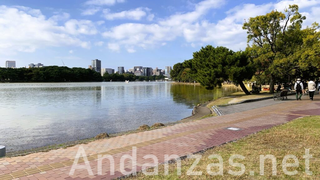 午後の晴れた大濠公園。中央に池があり、周囲は木々に囲まれている。遠くにはビルが見え、手前にはタイルの歩道が広がり、右には歩く人の背中が見える。