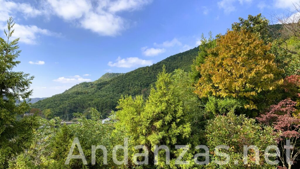 緑の木々と山々が広がる自然豊かな風景。右上から左下に続く山々と、青空に少し雲が浮かんでいる美しい風景。