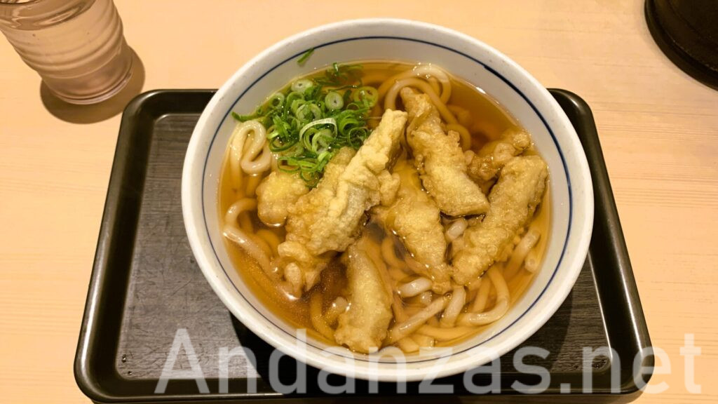 ウエストのうどん。中央にうどんが置かれ、上にはたくさんのごぼう天と左上にネギが乗っている。黄金色のスープが美しい。