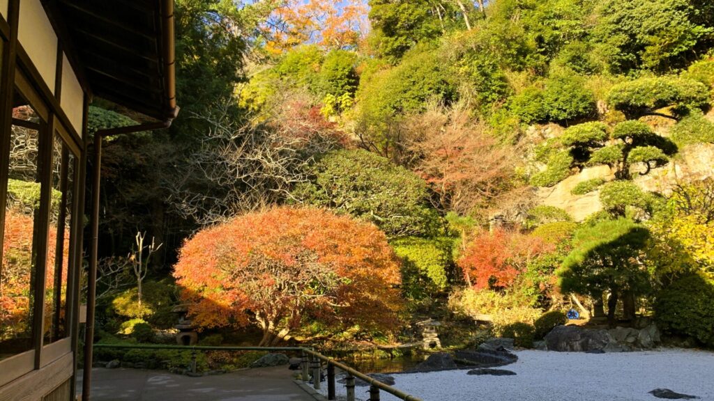 鎌倉・報国寺の中庭。白い石が敷かれた庭に紅葉した木々が広がり、左の建物のガラスにその美しい景色が反射している。自然と建物が調和した風景。