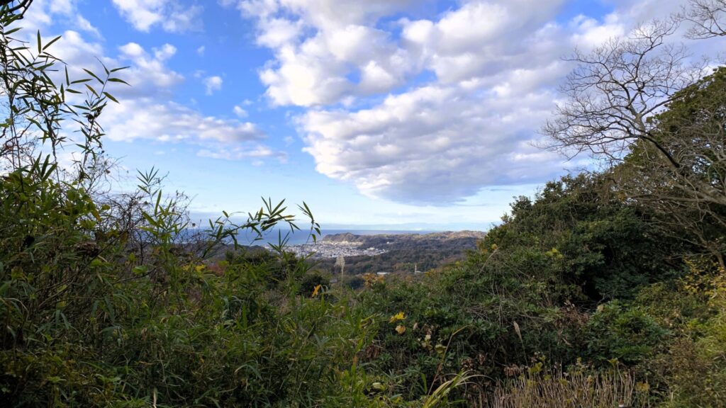 鎌倉天園からの眺め。奥には鎌倉の街と海が広がり、青空に白い雲が浮かぶ朝の風景。手前には笹の葉や木々が写る。