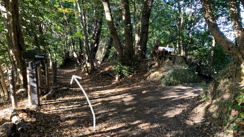 天園ハイキングコースの山道、直進と右手に分かれる道。左側には木製風の標識、右側にも『瑞泉寺』と書かれた白い標識が設置されている。木々に囲まれた静かな景色。