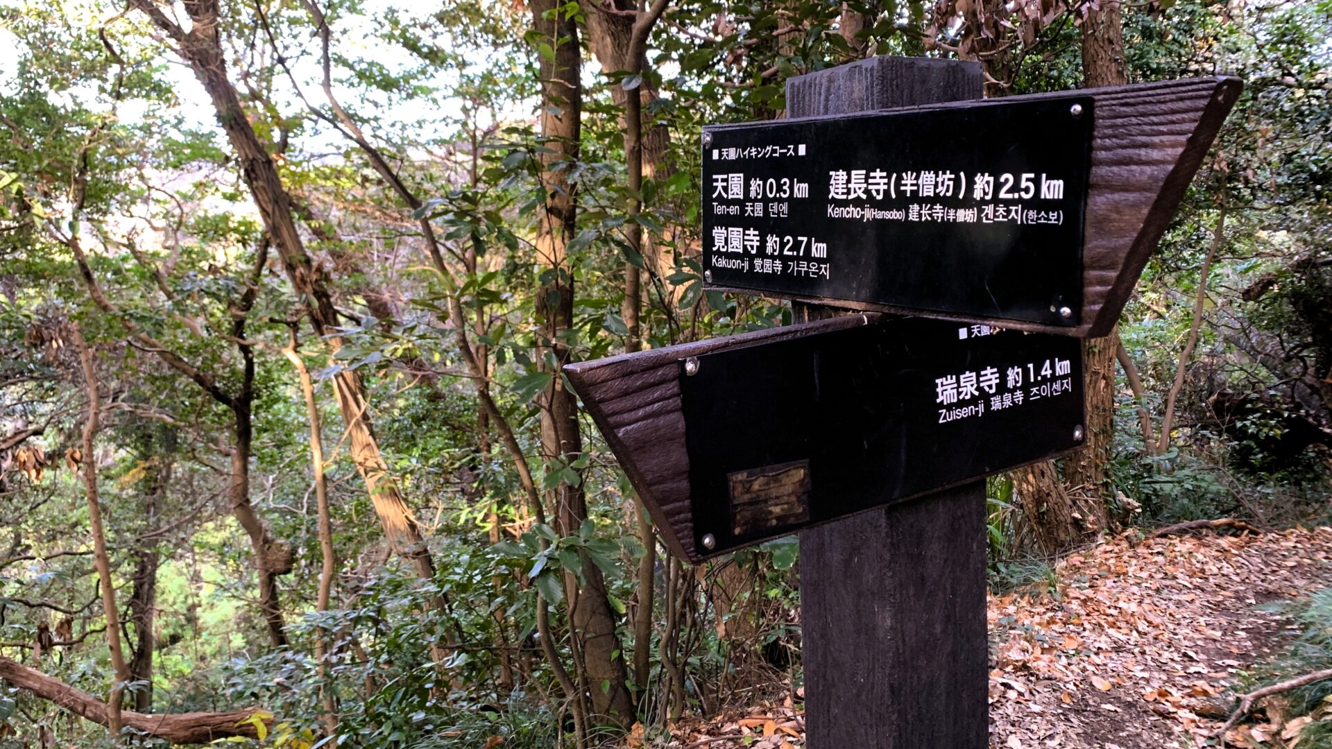 天園ハイキングコースの標識。天園約0.3km、瑞泉寺約1.4kmなどの距離が表示され、2つの矢印が交差している木製風の標識。背景に木々、手前に落ち葉が散った山道が広がっている。