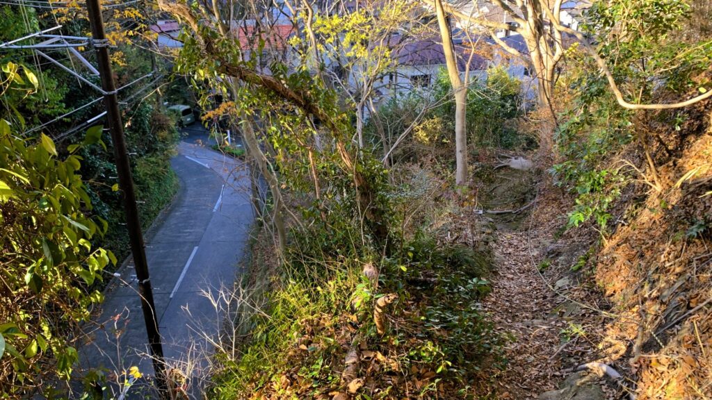 山道から住宅街を上部から撮影。右手には山の小道、左手にはアスファルトの道路が広がり、奥に住宅街の家々が見える風景。