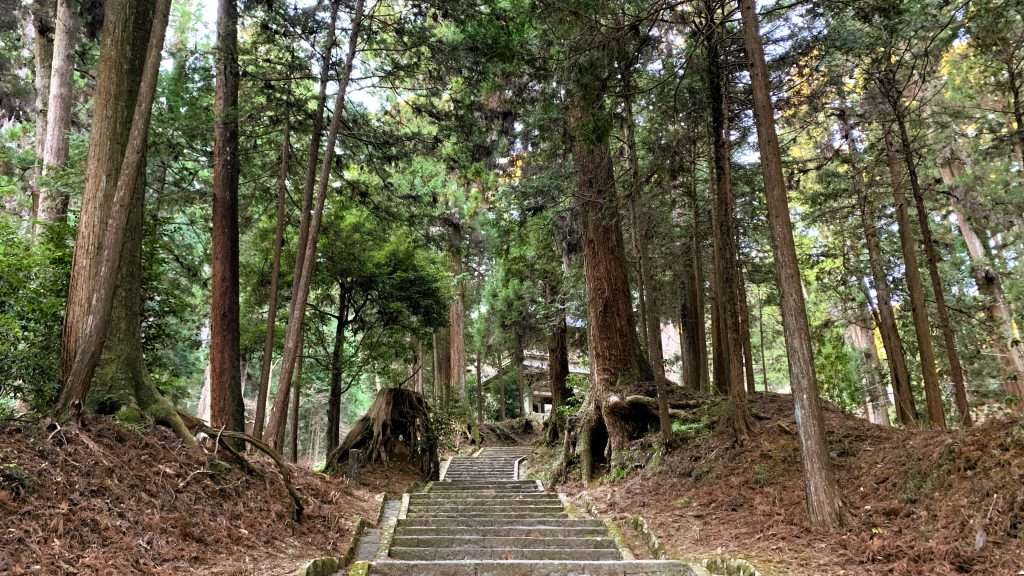 山の中にある最乗寺の参道。両側には高く伸びた杉が立ち、中央に石段が続いている。階段の先には建物が少し見え、自然に包まれた厳かな雰囲気である。