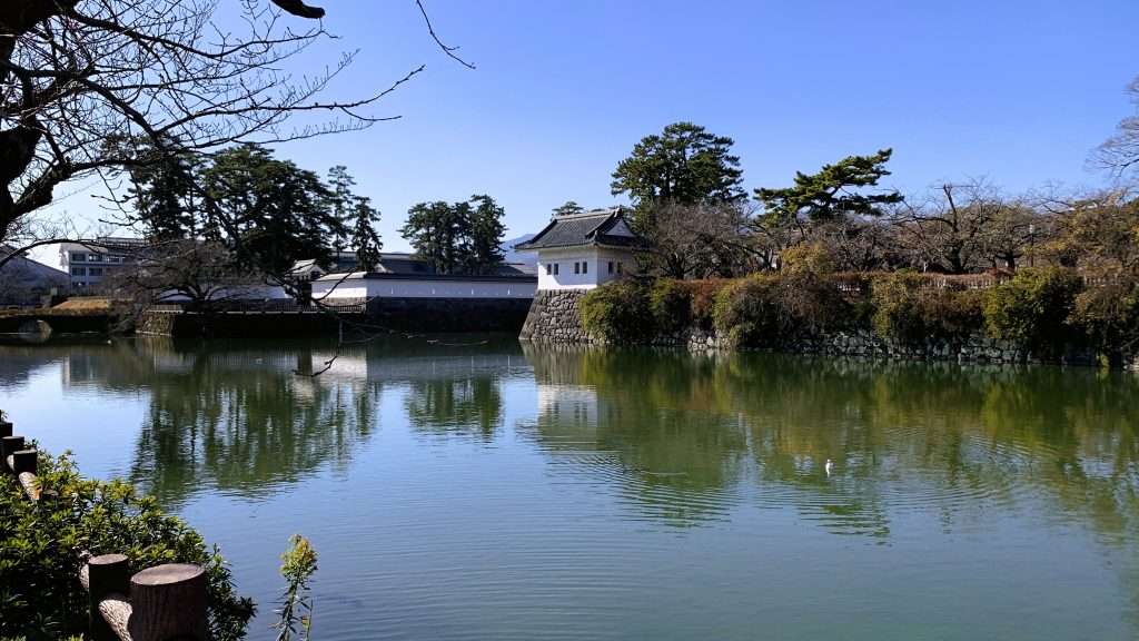 神奈川県の小田原城外堀の池の様子である。城壁を背景に青空と緑色の水面が印象的で、池には一羽の鳥が見える。穏やかで静かな城周辺の風景である。
