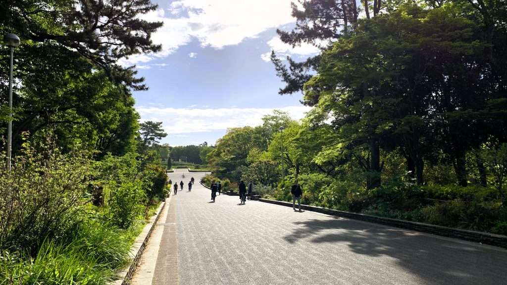 大阪・服部緑地公園のフラワー通りを撮影。木々に囲まれた直線の遊歩道に朝日が差し込み、影が落ちる静かな朝の時間帯。歩く人々と青空に浮かぶ雲が見える自然豊かな園路。
