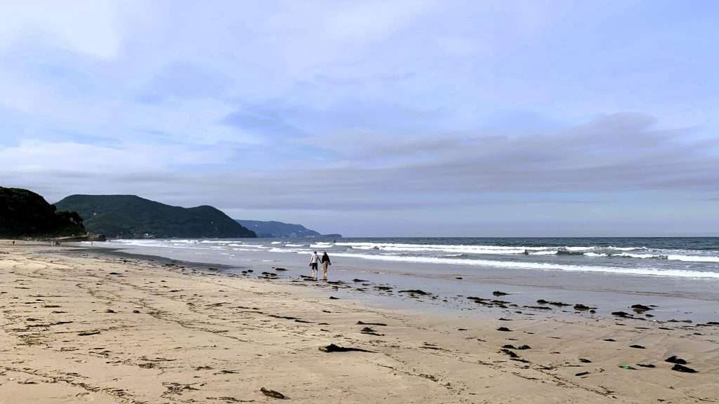 静岡県下田市・白浜海岸を午後に撮影した風景。手前には砂浜が広がり、砂の上には海藻が見える。奥には波の立つ海が広がり、海辺では2人のカップルが手をつないで歩いている。左側には山が見え、薄い筋状の雲が浮かぶ伊豆の海岸景観。